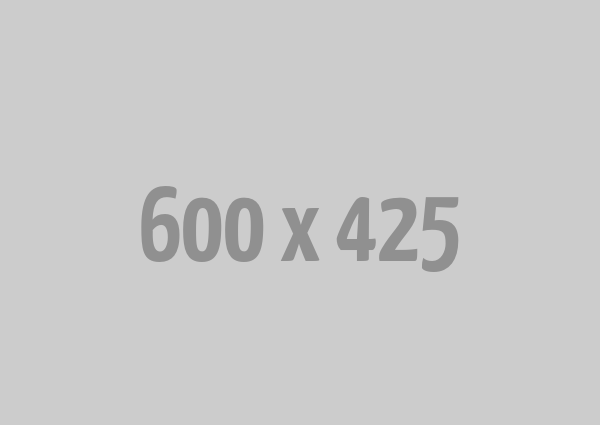 Custom Development